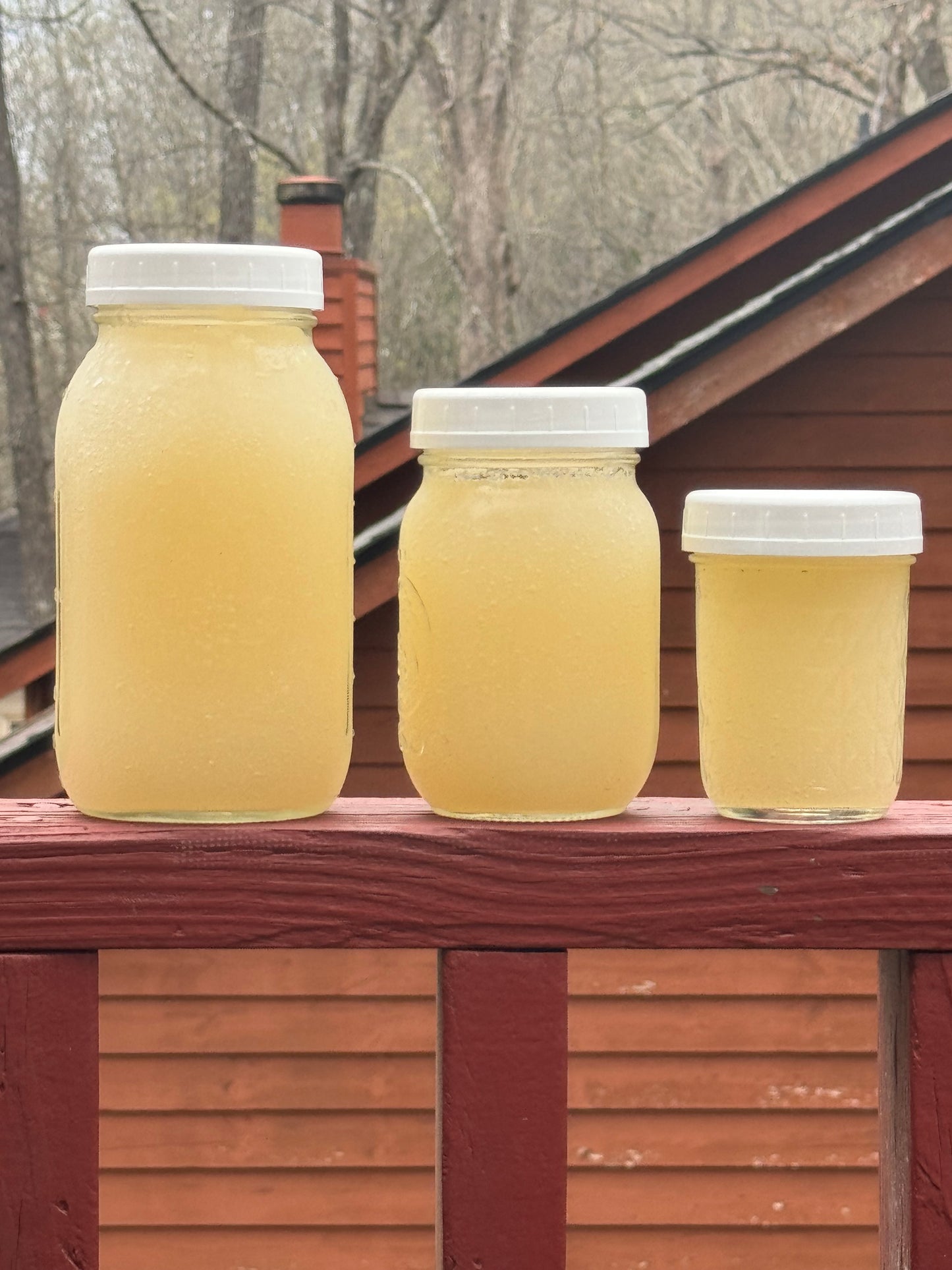 ACV - Apple Cider Vinegar Ginger Honey