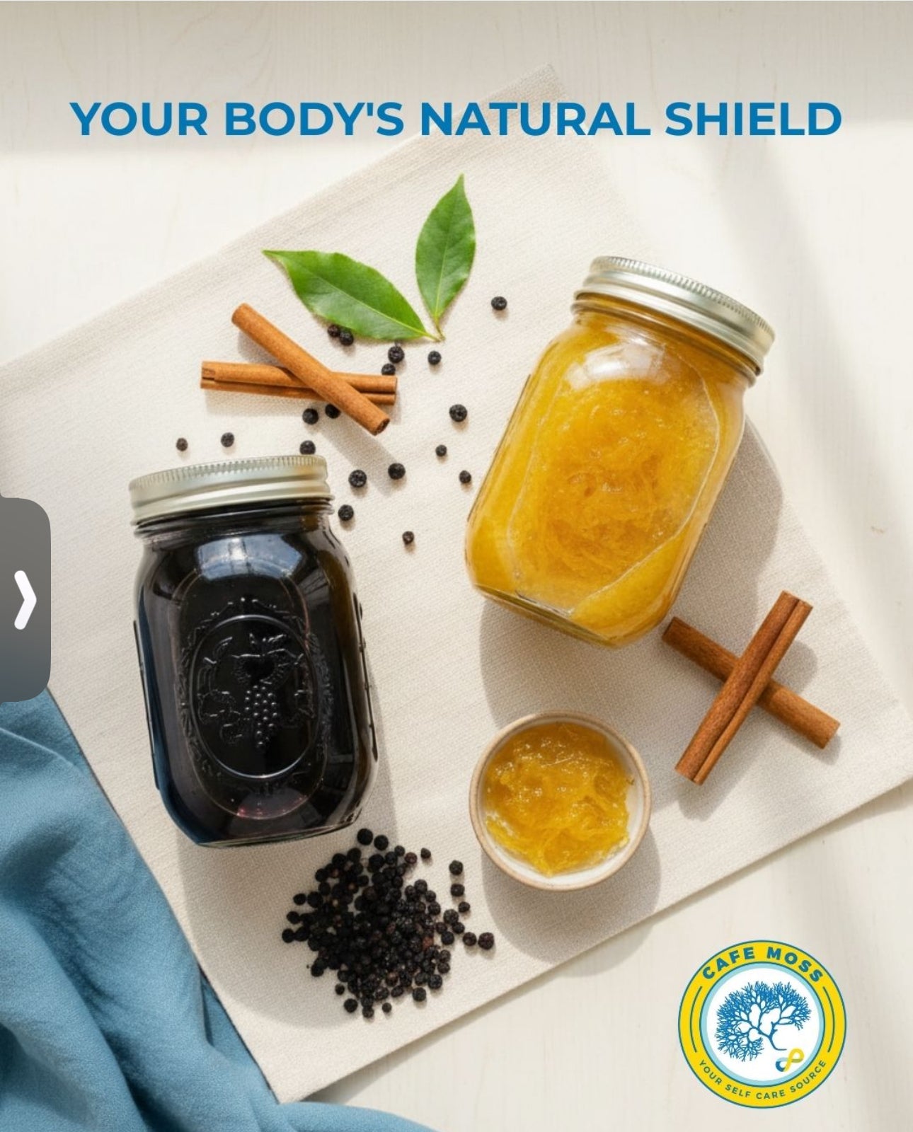 Elderberry Sea Moss & Syrup Bundle