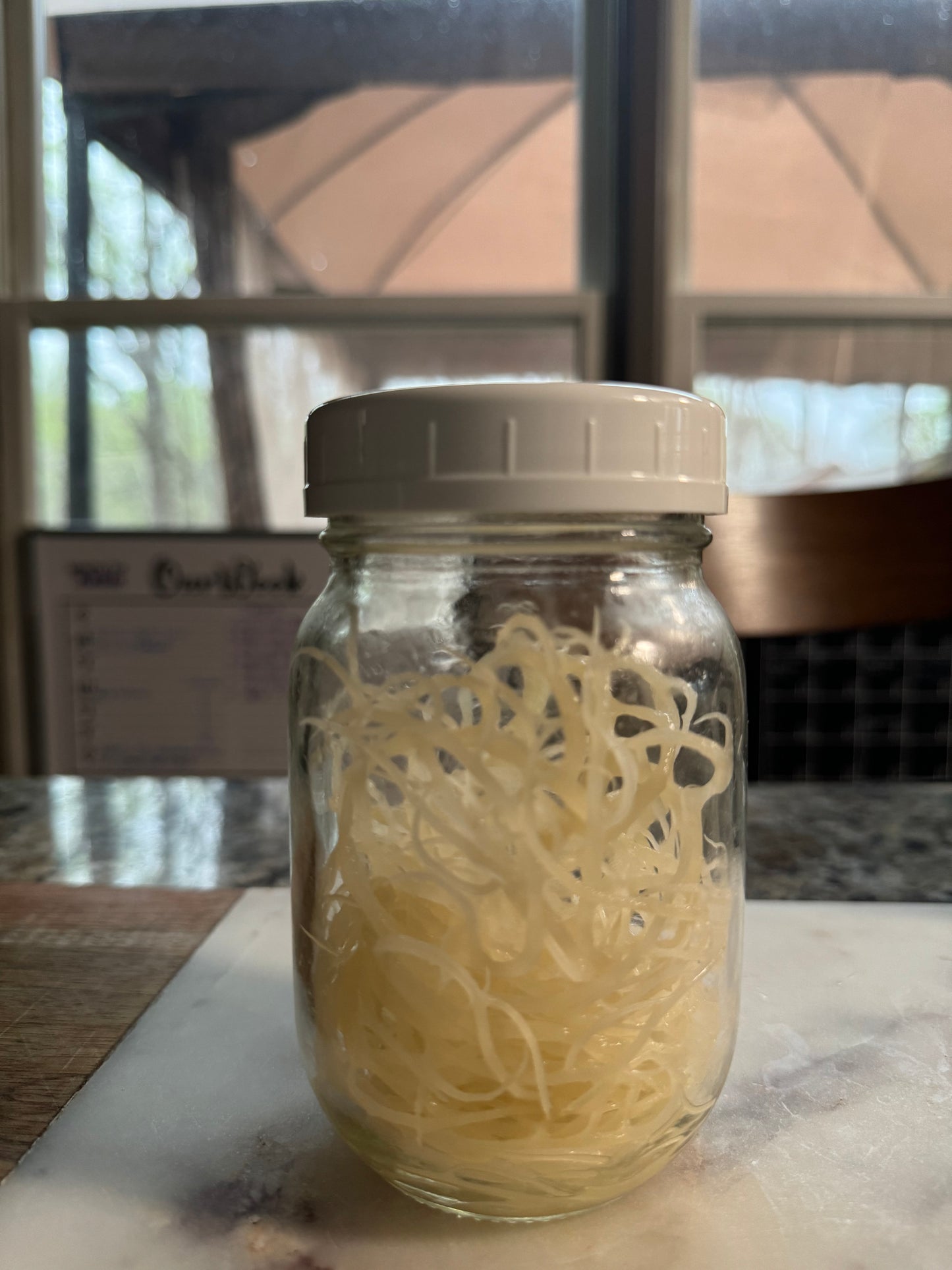 Plain and Simple Sea Moss Gel