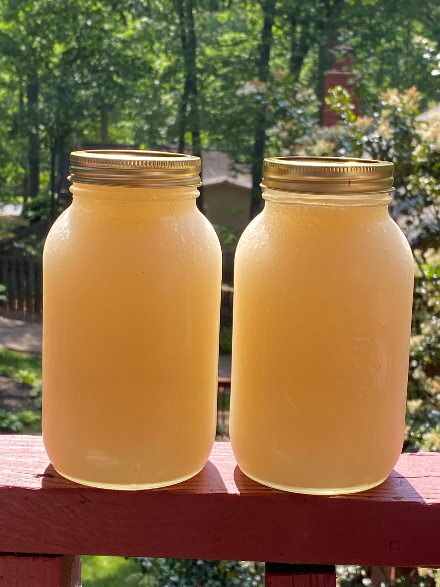 ACV - Apple Cider Vinegar Ginger Honey