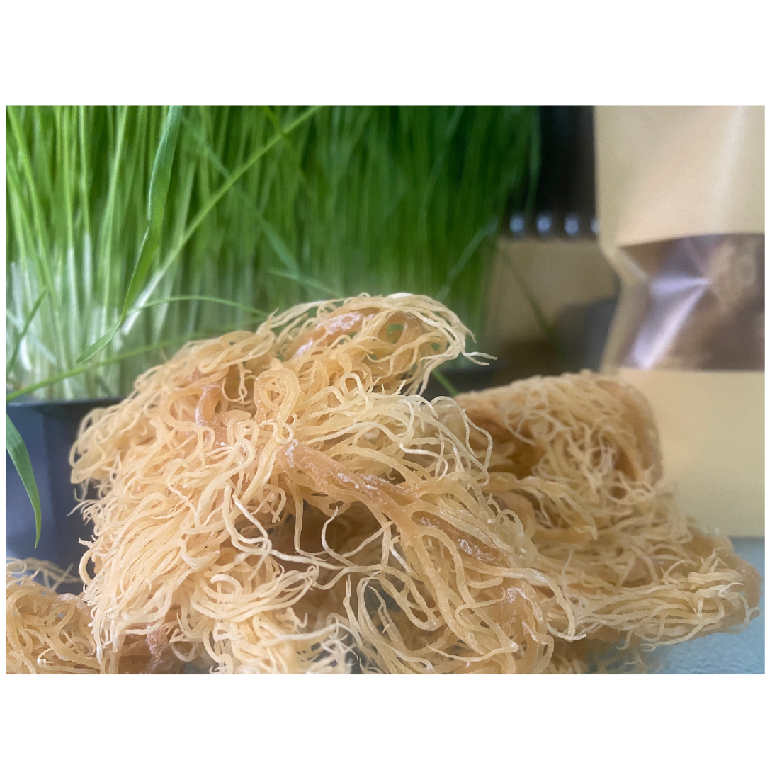 Raw St. Lucian Sea Moss - Dried and Unrefined