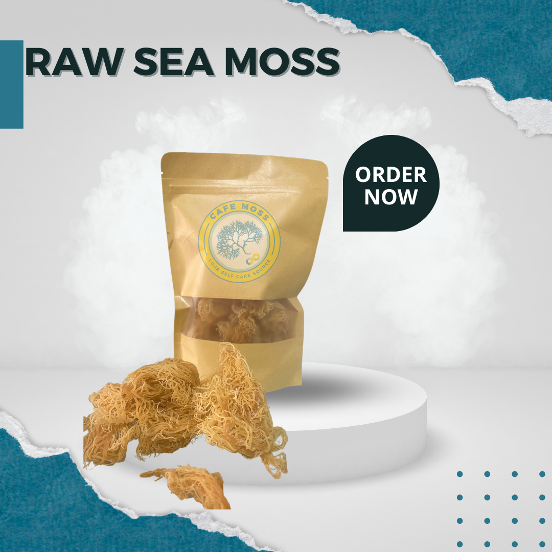 Raw St. Lucian Sea Moss - Dried and Unrefined