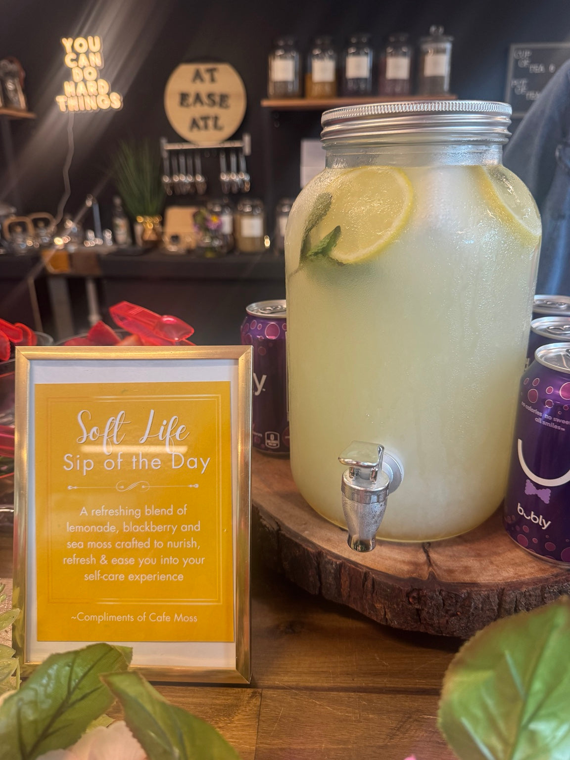 Cafe Moss sea moss lemonade bar with fresh fruit garnishes and beverage dispenser